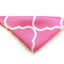 Ocean Boulevard Pink & White Silk Pocket Square